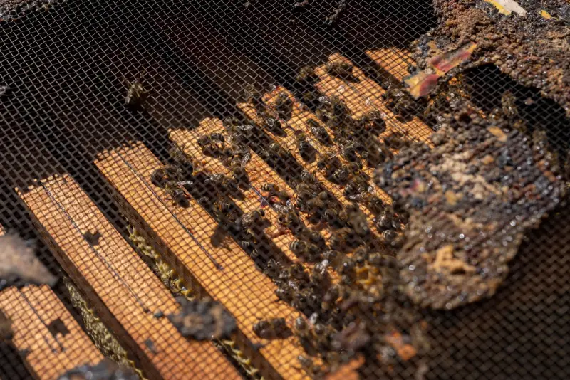纸币清分机与智能点钞机功能差异及选型对比指南